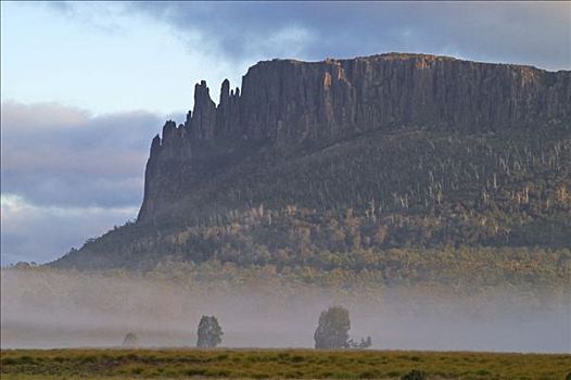 山,晨雾,风景,奥弗兰,摇篮山,国家公园,塔斯马尼亚,澳大利亚