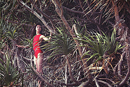 穿红色泳装站在树前的美女