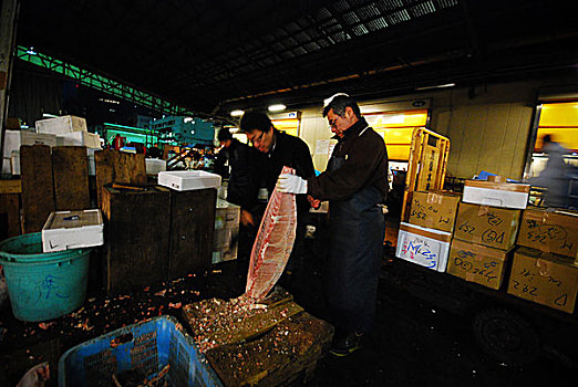 工人,准备,大,海鱼,筑地,鱼市,一个,最大,批发,鱼肉,海鲜,市场,世界,东京,日本,二月,2008年