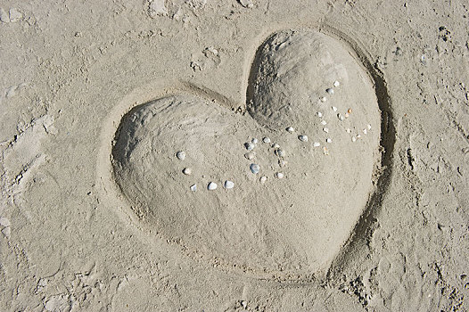 心形,沙子,文字,喜爱,壳,石荷州,德国,欧洲