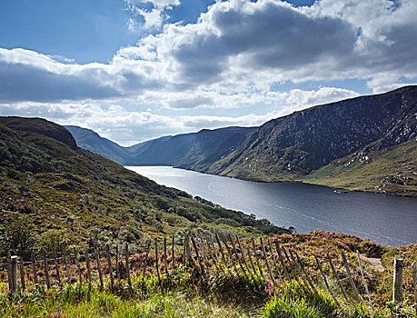 风景,远眺,湖,国家公园,多纳格,爱尔兰