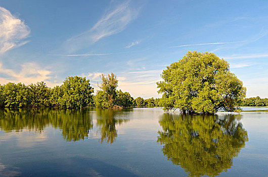 湿地,自然公园,克罗地亚,欧洲