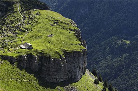 高山牧场,山,阿彭策尔,瑞士
