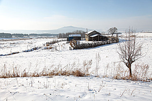 东北吉林省敦化市两江镇农村雪景