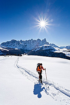 滑雪,登山者,上升,山,西玛,高处,白云岩,背影,特兰迪诺,意大利,欧洲
