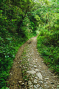 山间小路