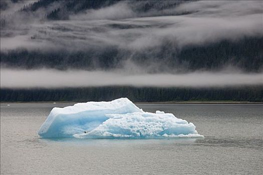 冰山,恩迪科特湾,东南阿拉斯加,美国