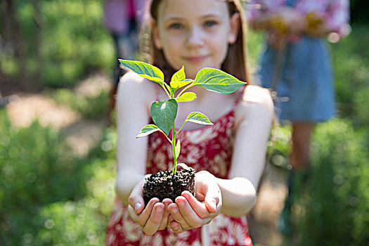 花园,女孩,拿着,幼小植物,绿叶,健康