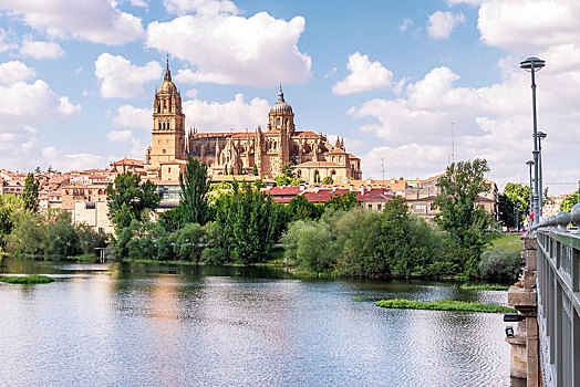 河,大教堂,萨拉曼卡,卡斯提尔,西班牙,欧洲