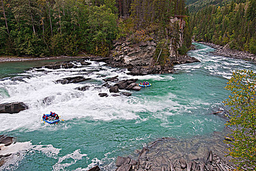 白浪,筏,享受,瀑布,北方,尖,区域,不列颠哥伦比亚省,加拿大