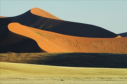 沙丘,黎明,纳米比亚,非洲