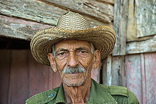 古巴,烟草,农民,穿,草帽