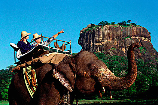 斯里兰卡,锡吉里耶,大象,旅游