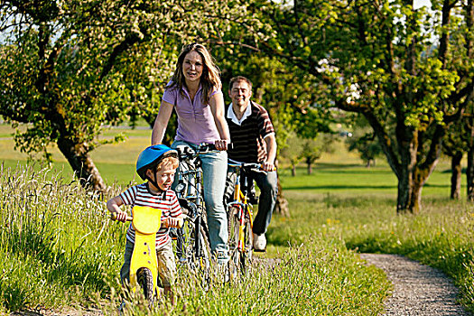 家庭,旅游,自行车,美好,风景,儿子,孩子,骑,训练