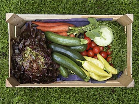 板条箱,新鲜,蔬菜,沙拉
