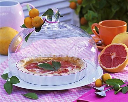 柚子,点心,糕饼盘,玻璃,圆顶,户外