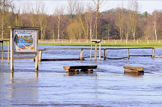 河,洪水,一月,2008年,下萨克森,北德,德国,欧洲