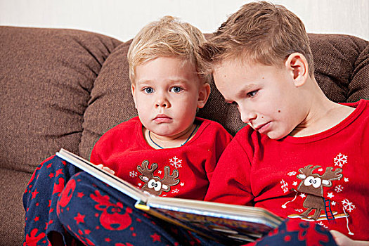 两个男孩,读,书本