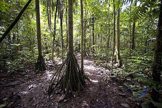 亚马逊雨林,住宿,厄瓜多尔