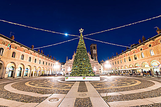 圣诞树,广场,省,帕维亚,伦巴第,意大利
