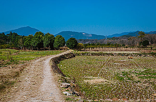 乡村小路