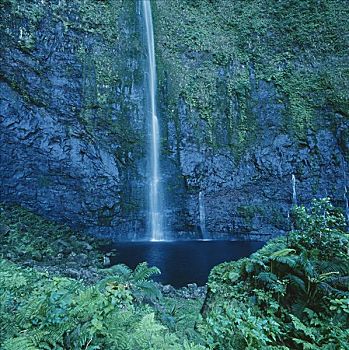 夏威夷,瀑布,层叠,热带,水池,蕨类,上方