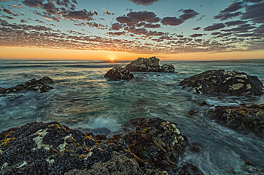 日落,上方,海洋,大理石,海滩,国家公园,南非