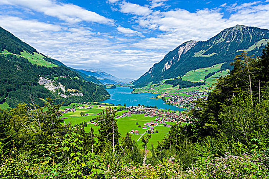 湖,自然,水库,奥伯瓦尔登,瑞士,欧洲