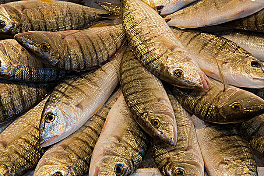 鱼,菜市场,威尼斯,意大利