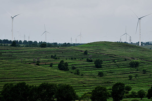 张家口坝上草原风电场