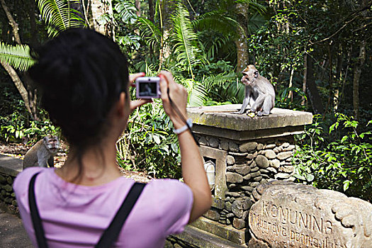 女人,照相,短尾猿,猴子,树林,巴厘岛,印度尼西亚