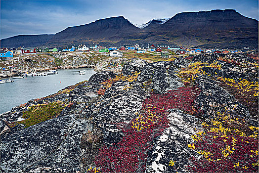 彩色,石头,遥远,渔村,迪斯科,岛屿,格陵兰