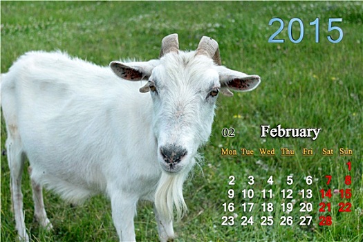 日程,二月,山羊
