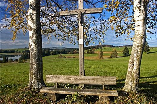 十字架,道路,秋天,桦树,风景,湖,东方,巴伐利亚,德国,欧洲