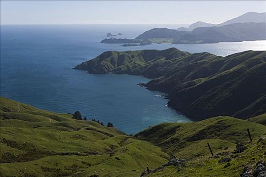 山,绿色,风景,湾,马尔伯勒,南岛,新西兰