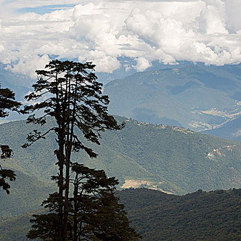 风景,不丹,廷布,地区