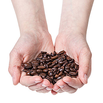 女性,青少年,握着,咖啡豆,隔绝,白色背景