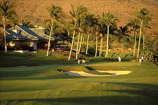 夏威夷,挑战,曼内雷,打高尔夫,洞,高尔夫球场,背景,下午,影子,亮光