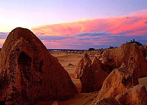 顶峰,石灰石,日落,南邦国家公园,西北地区,澳大利亚