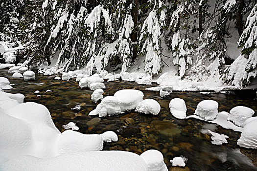 美国,华盛顿,贝克山-斯诺夸尔米国家森林公园,南,河,初雪