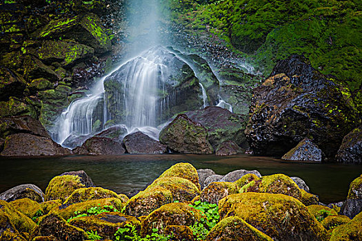 瀑布,哥伦比亚河峡谷,区域,俄勒冈,美国