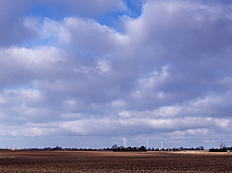 风电场,种植,风景,丹麦