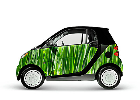 机智,绿色,燃料,效率,城市,迷你,2008年