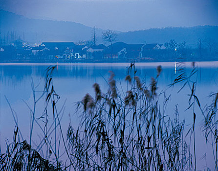 西湖风景