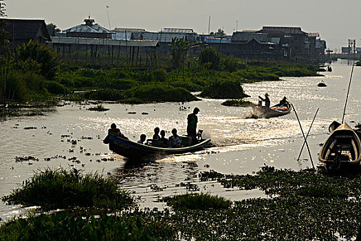 亚洲,缅甸,漂浮,花园