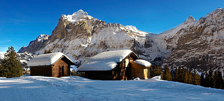 山,木房子,冬天,看,贝塔峰,格林德威尔,阿尔卑斯山,瑞士,欧洲