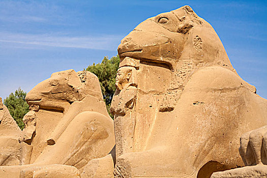 狮身人面像,路克索神庙,埃及
