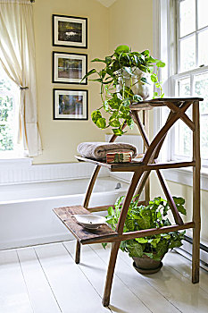 家庭浴室,白色,传统,浴室,毛巾,盆栽植物