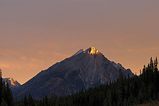 日出,山峰,艾伯塔省,加拿大