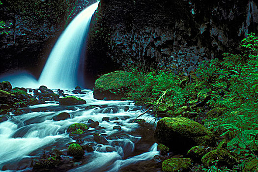 水,落下,岩石上,瀑布,哥伦比亚河峡谷国家风景区,俄勒冈,美国